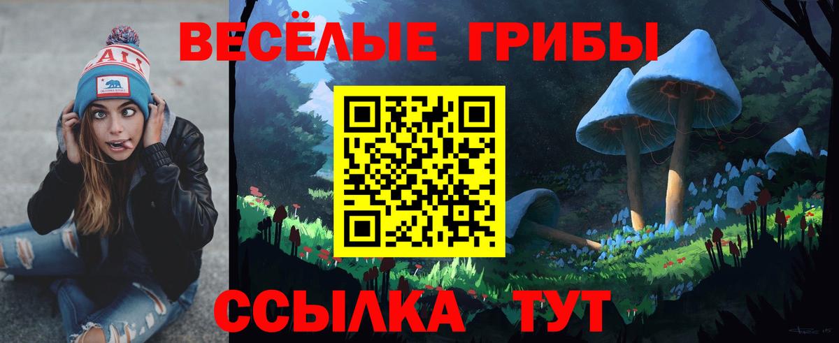 Псилоцибиновые грибы прущие грибы Воронеж
